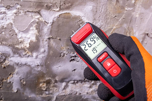 Best Mold Remediation for Specific Building Types in Rock Port, MO