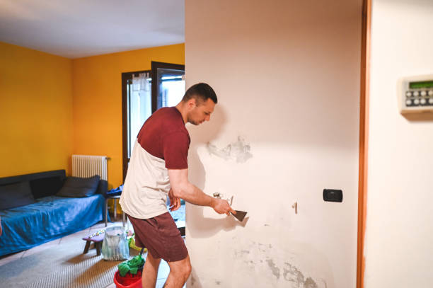 Best Post-Flood Mold Remediation in Rock Port, MO